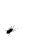 Bug Icon